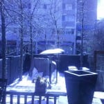 Cilantro Patio (in winter)