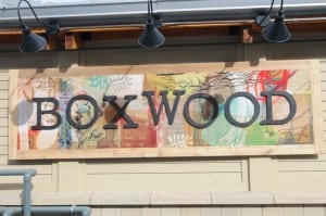 Boxwood Calgary