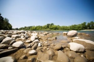 the river in Calgary