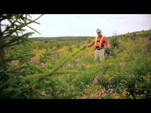 Oil and Gas Greenpeace Founder
