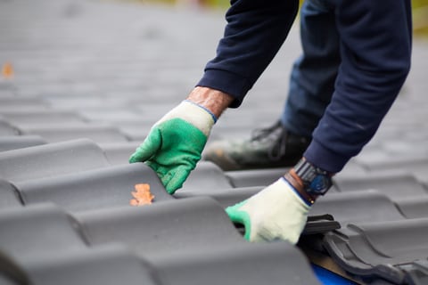 Home Maintenance roof shingles tiles