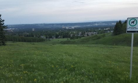 best parks in calgary edgemont hill off leash area