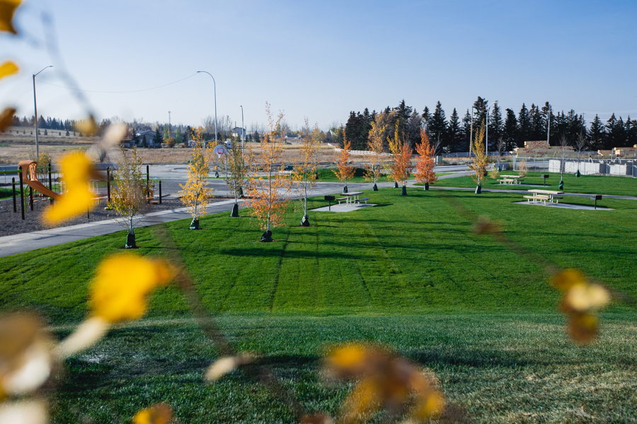 Park area in East Hills Crossing